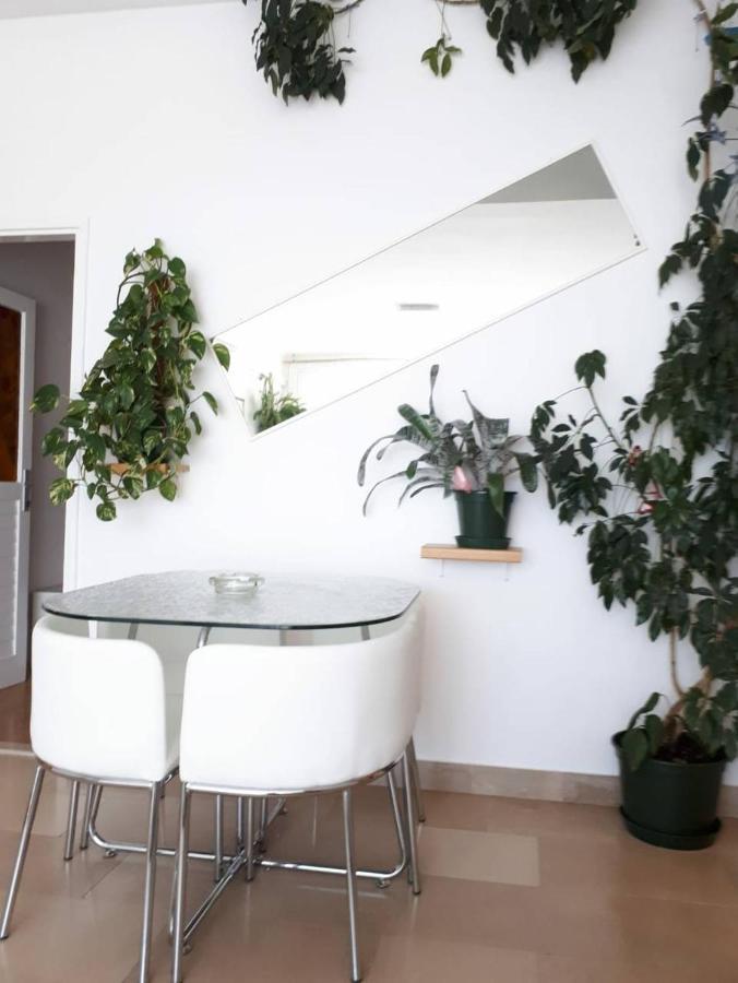 מאקרסקה Apartment Eva מראה חיצוני תמונה